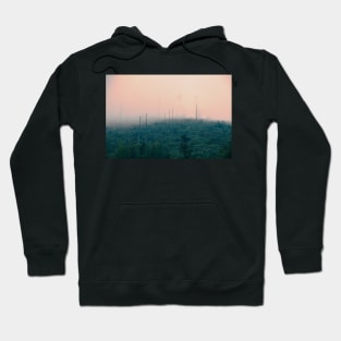 Mountainside, trees destroyed by wind and acid rains Hoodie